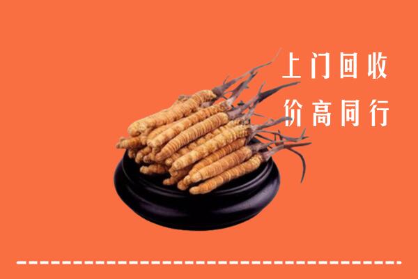 高价求购：信阳市浉河回收散虫草