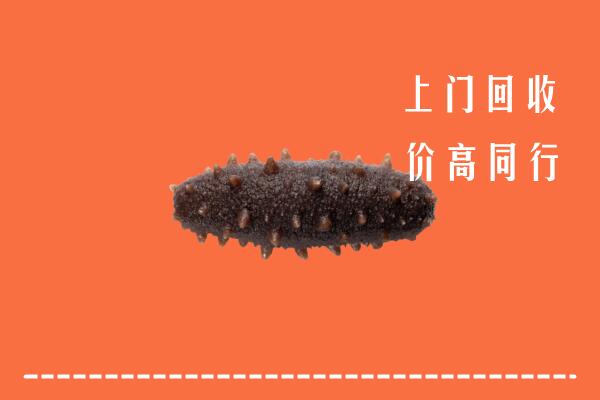 高价求购：信阳市浉河回收海参
