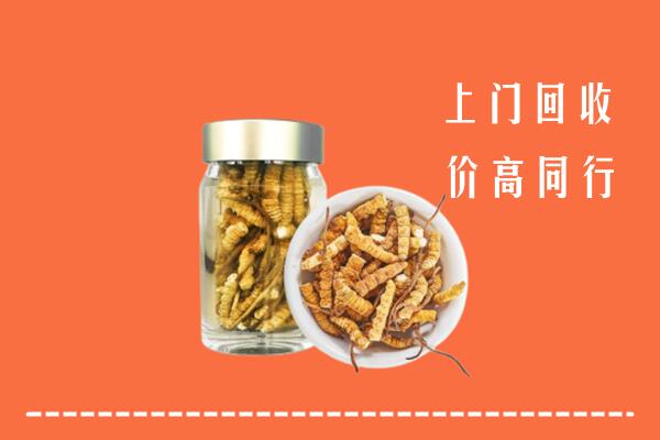 收购行情：信阳市浉河回收冬虫夏草