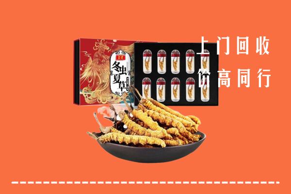收购行情：信阳市浉河回收虫草